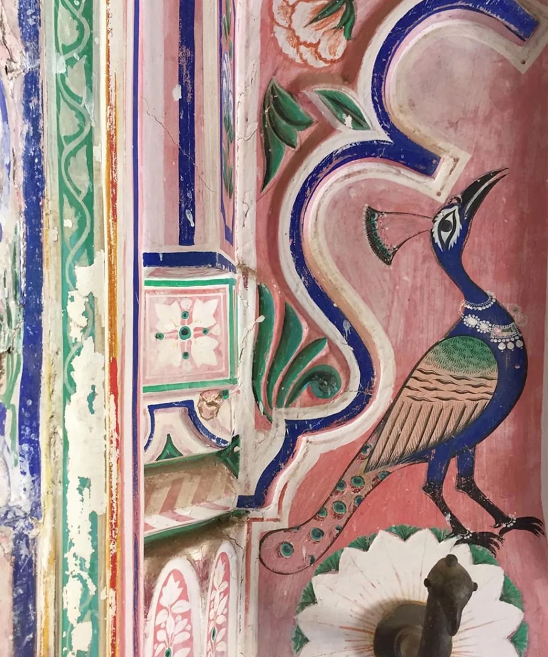 A Painted Peacock at the Juna Mahal Palace, Rajasthan